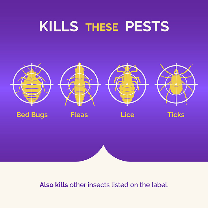 HG959112_Bed_Bug_and_Flea_Killer_2oz_Aerosol_Fogger_3Count_01_KillsTheseInsects_LoRes